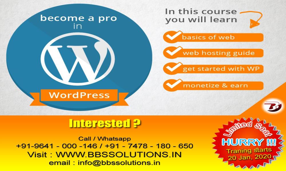 Become a Pro in Wordpress : : Professional and Industrial WordPress tr...